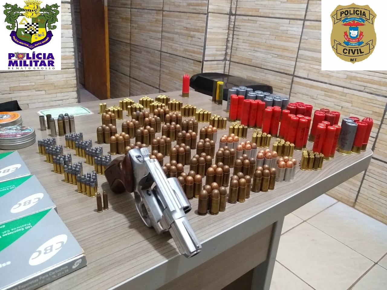 Jovem &eacute; preso com arma e centenas de muni&ccedil;&otilde;es em S&atilde;o Jos&eacute; do Rio Claro