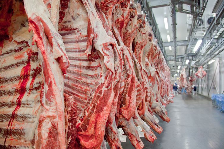 Estados Unidos voltam a importar carne fresca brasileira