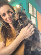 Mercado Pet