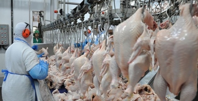 Volume inspecionado de carne de frango aumenta quase 25% na presente d&eacute;cada