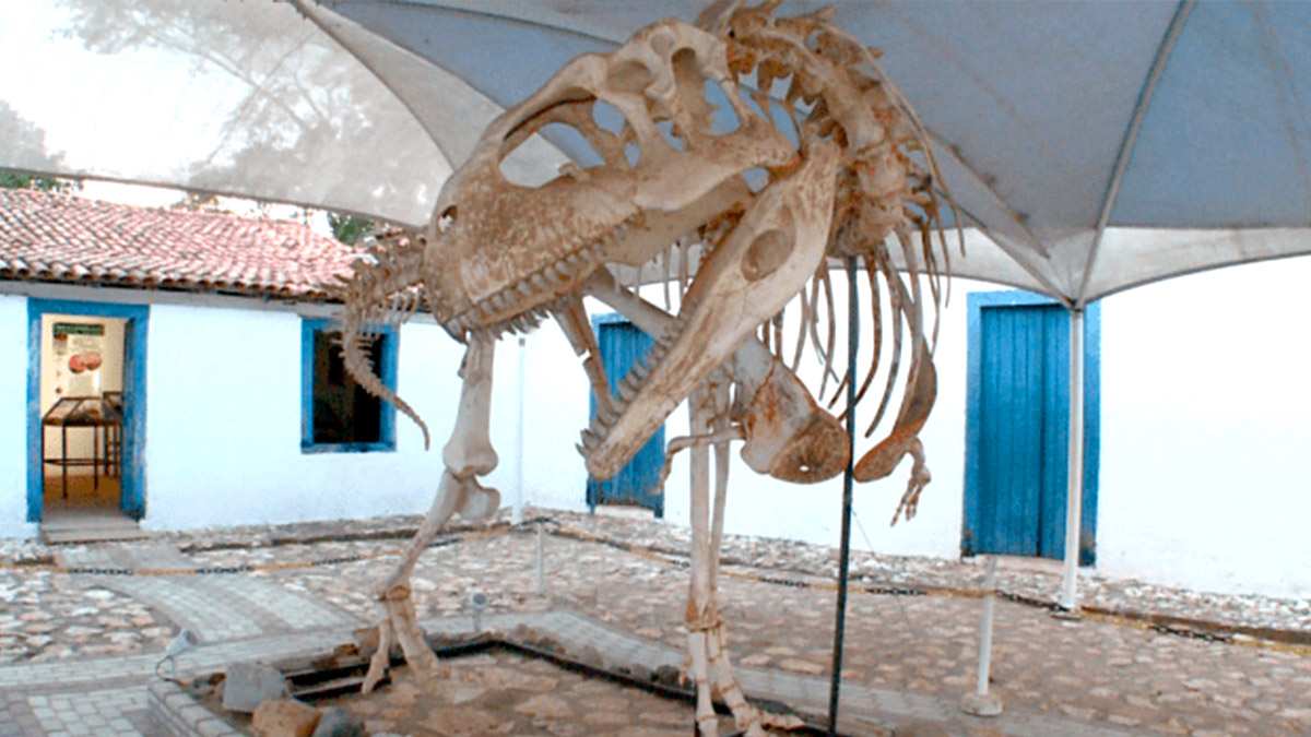 dinosauro casa dom aquino museu