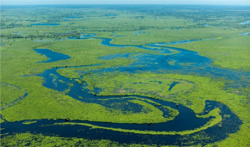 Pantanal