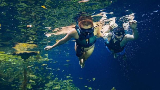 Muitos cenotes ficam em &aacute;reas remotas de floresta ou em propriedades privadas