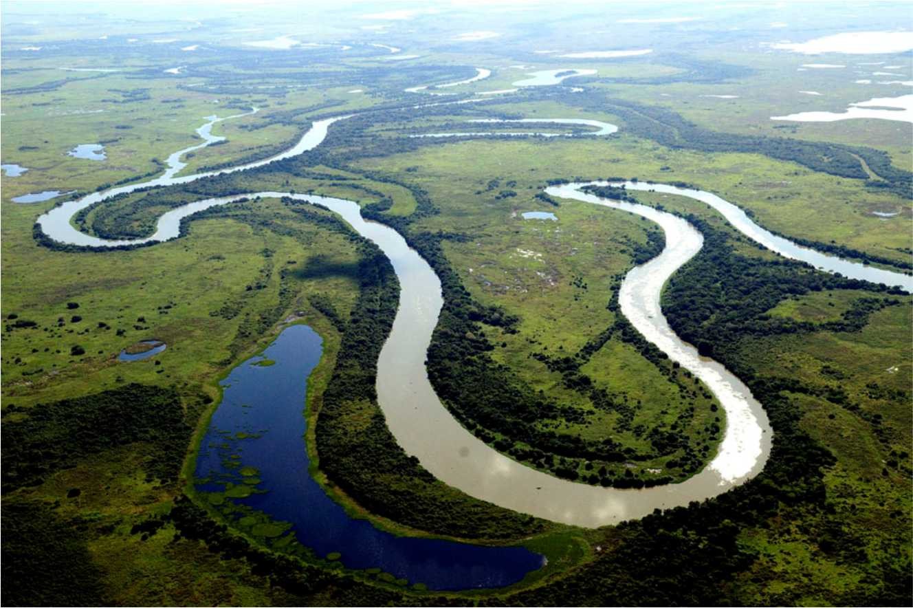 Pantanal.jpg