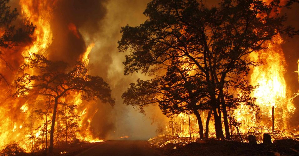 Inc&ecirc;ndio Fllorestal
