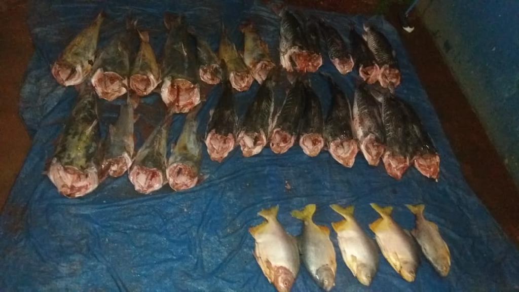 Pol&iacute;cia Militar flagra suspeitos com 29 exemplares de pescado irregular
