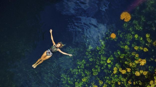 Objetivo do Wonderland Project &eacute; fazer com que qualquer pessoa possa nadar e mergulhar em cenotes sem sair de casa, por meio da realidade virtual