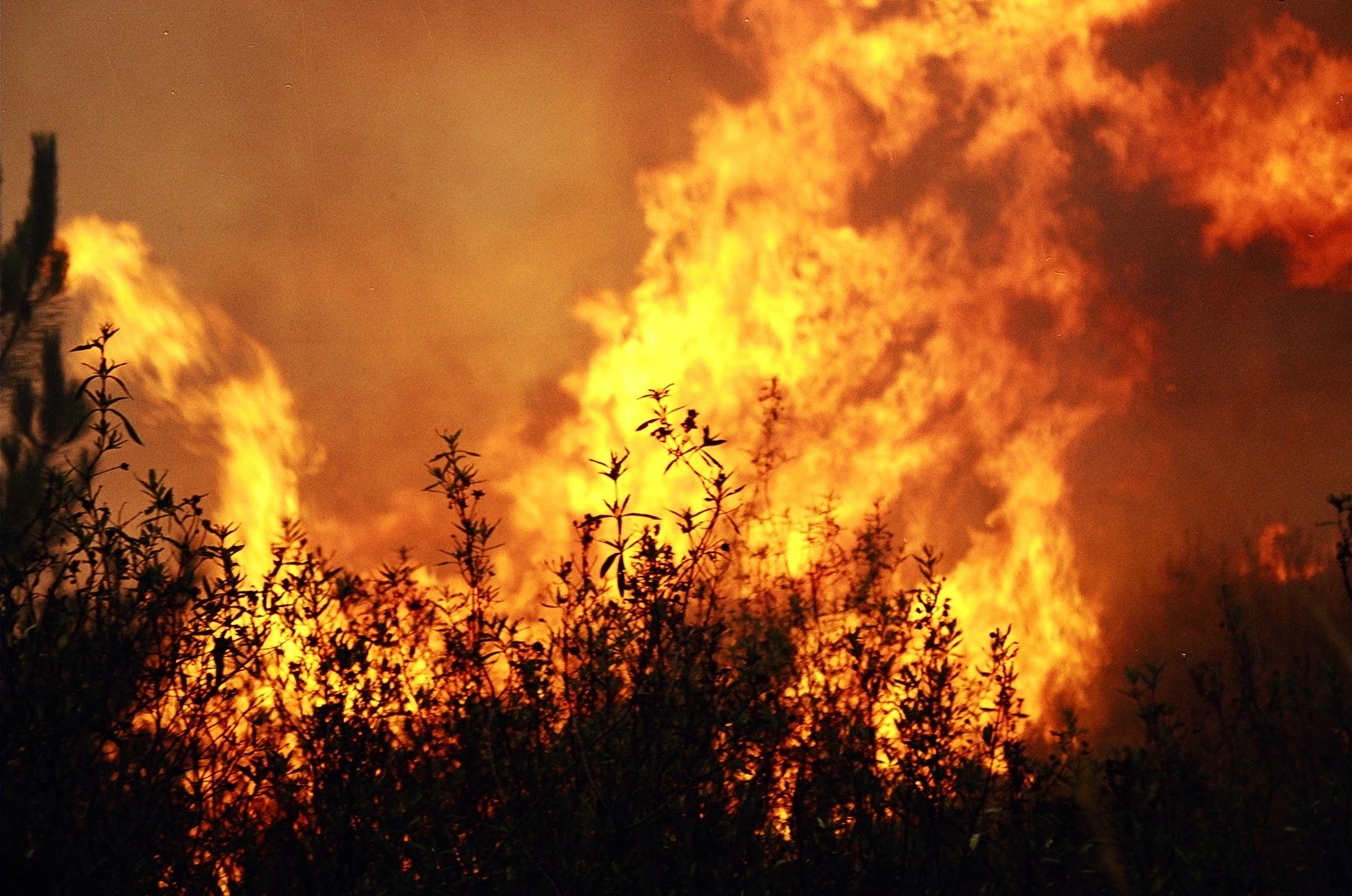 Inc&ecirc;ndios no Centro-oeste 