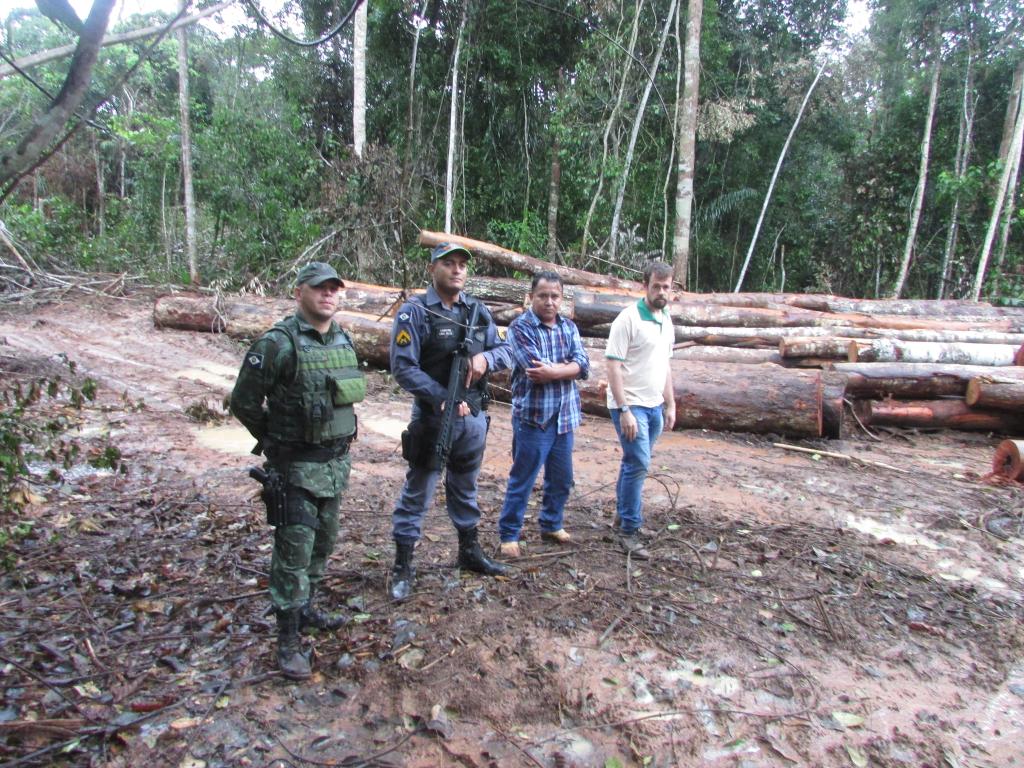 Apreens&atilde;o de madeira em Nova Maring&aacute;