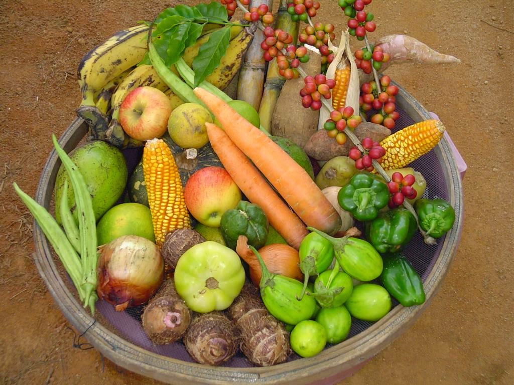 Alimentos da agricultura familiar