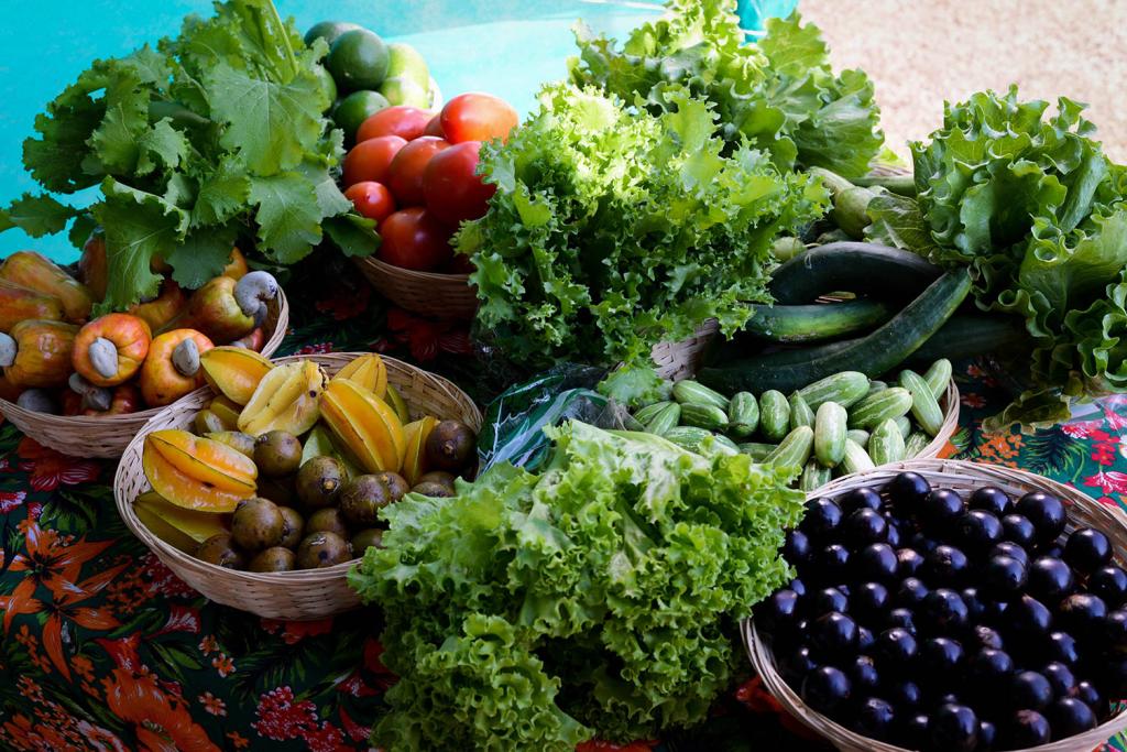 Hortifrutigranjeiros