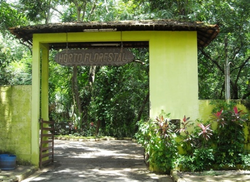 Horto Florestal em Cuiab&aacute;