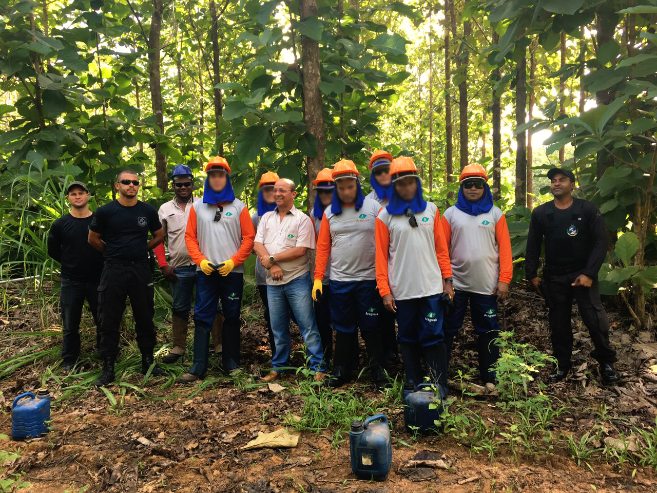 Projeto teca &Aacute;gua Boa