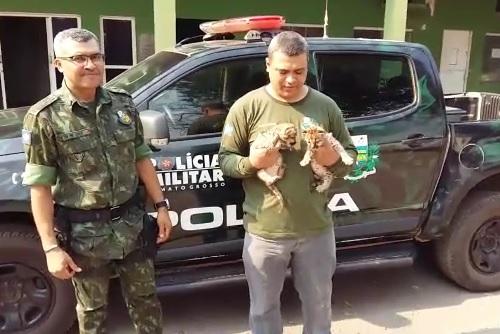 Animais foram resgatados por moradores que vivem pr&oacute;ximos da BR-070, em Cuiab&aacute; 
