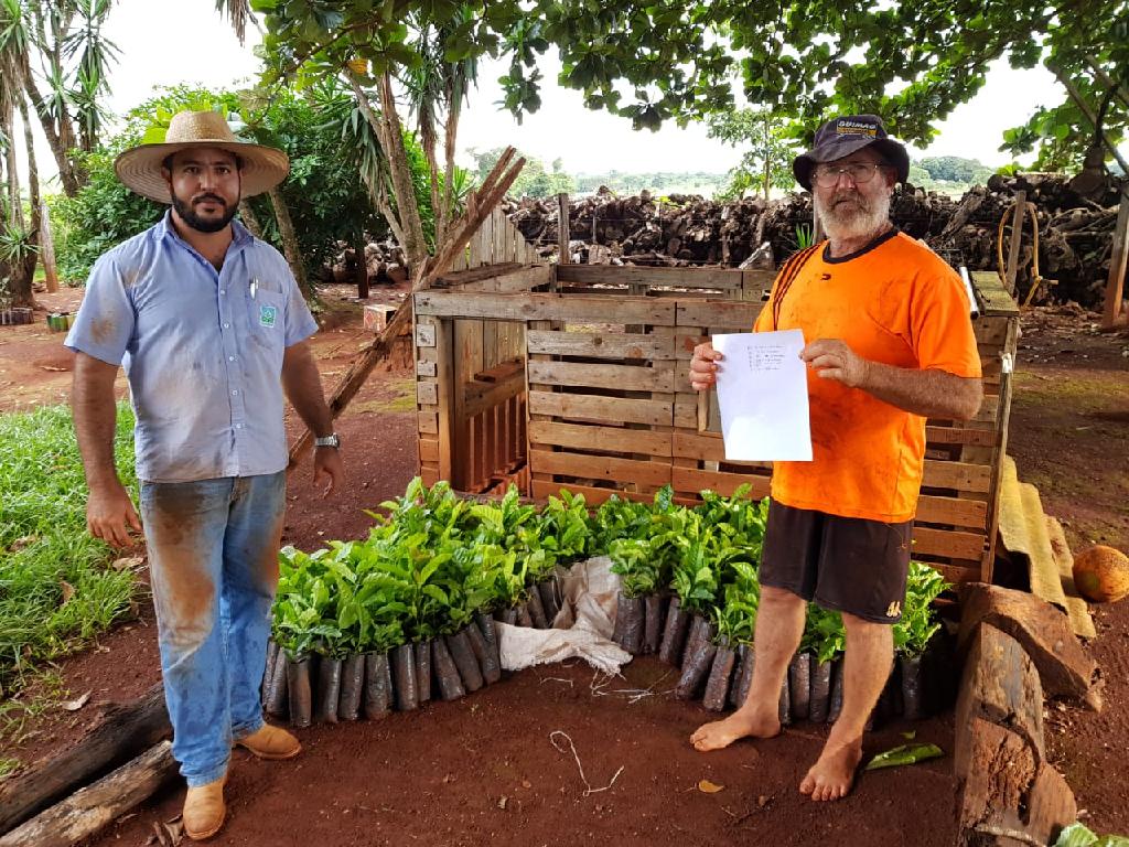 Ser&atilde;o distribu&iacute;das 35 mil mudas de caf&eacute; - Leonardo Dias