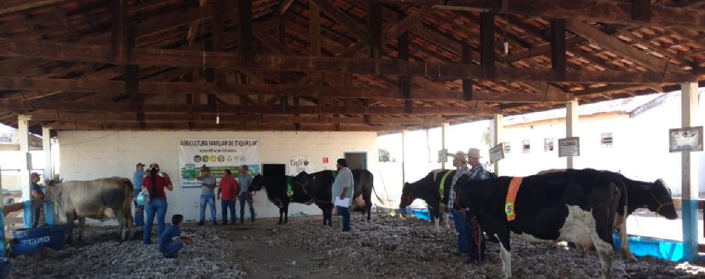 Alunos visitam Exposi&ccedil;&atilde;o Agropecu&aacute;ria em Itiquira