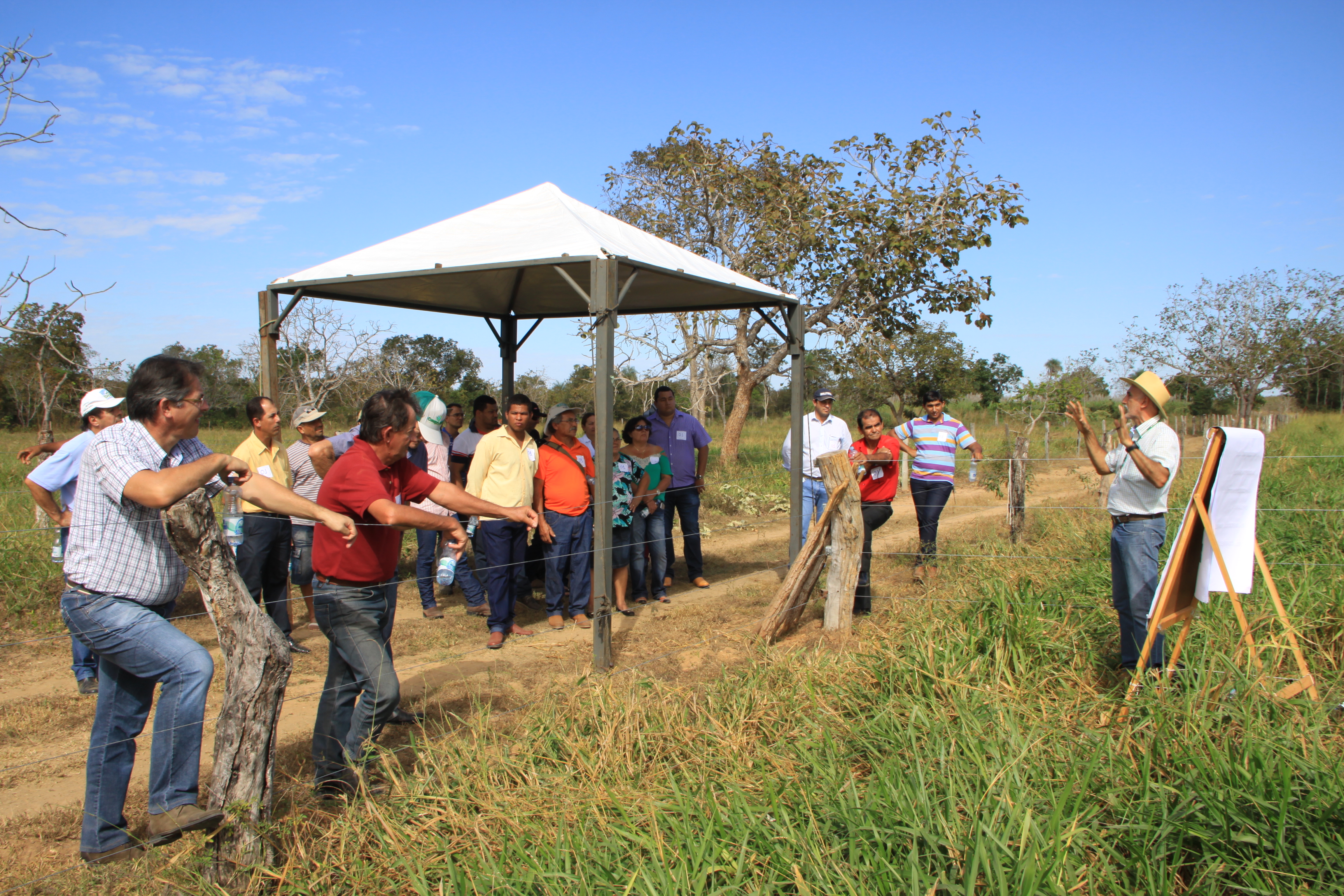 Plataforma digital faz mapeamento da agricultura familiar e acompanha o trabalho dos t&eacute;cnicos no campo