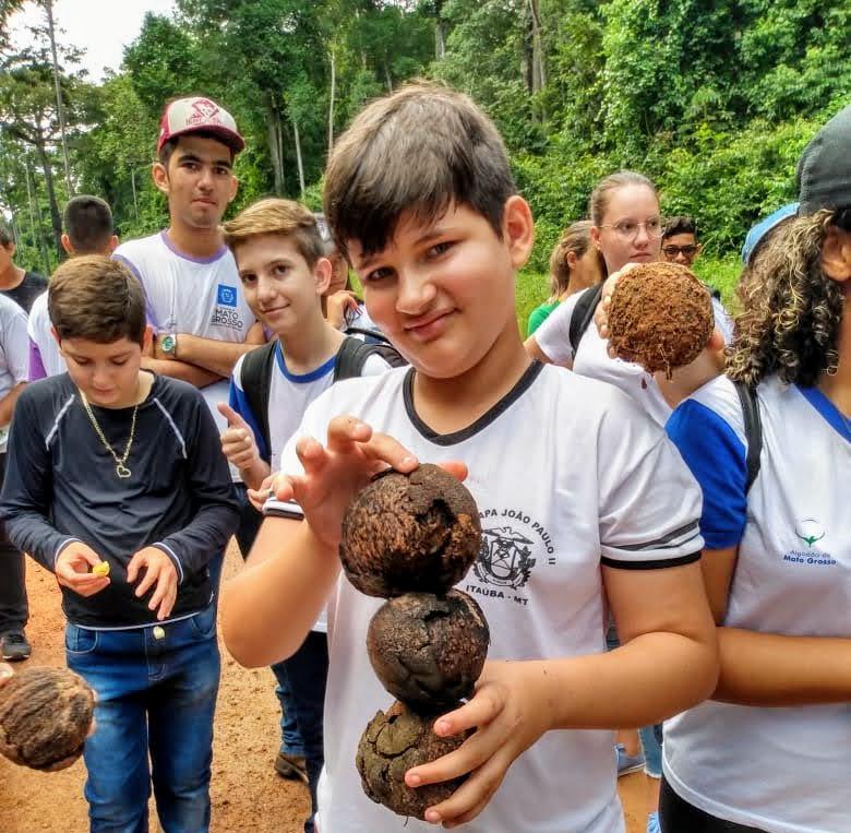 Os alunos colocaram em pr&aacute;tica o que aprenderam em sala de aula