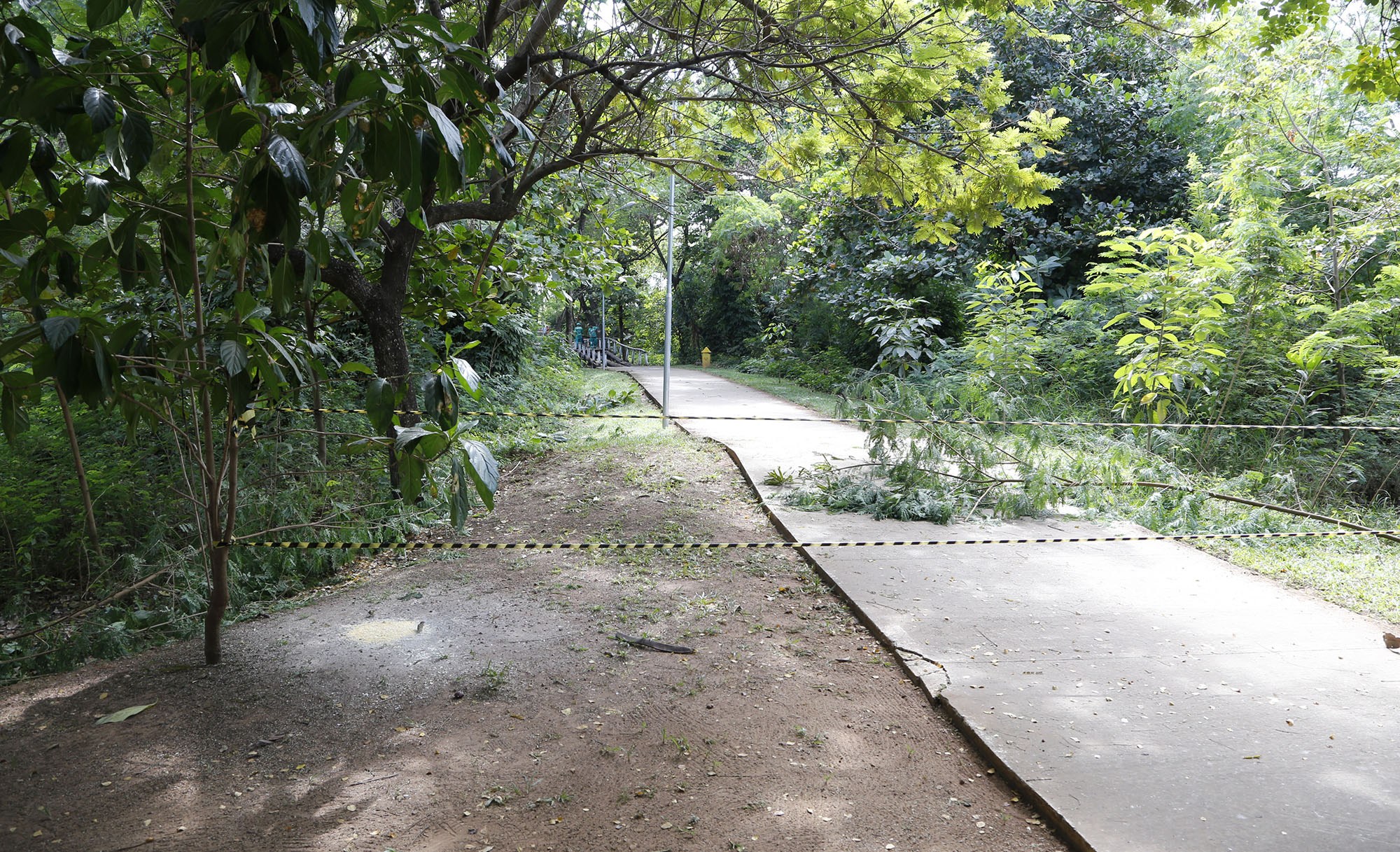 Taque do Facho